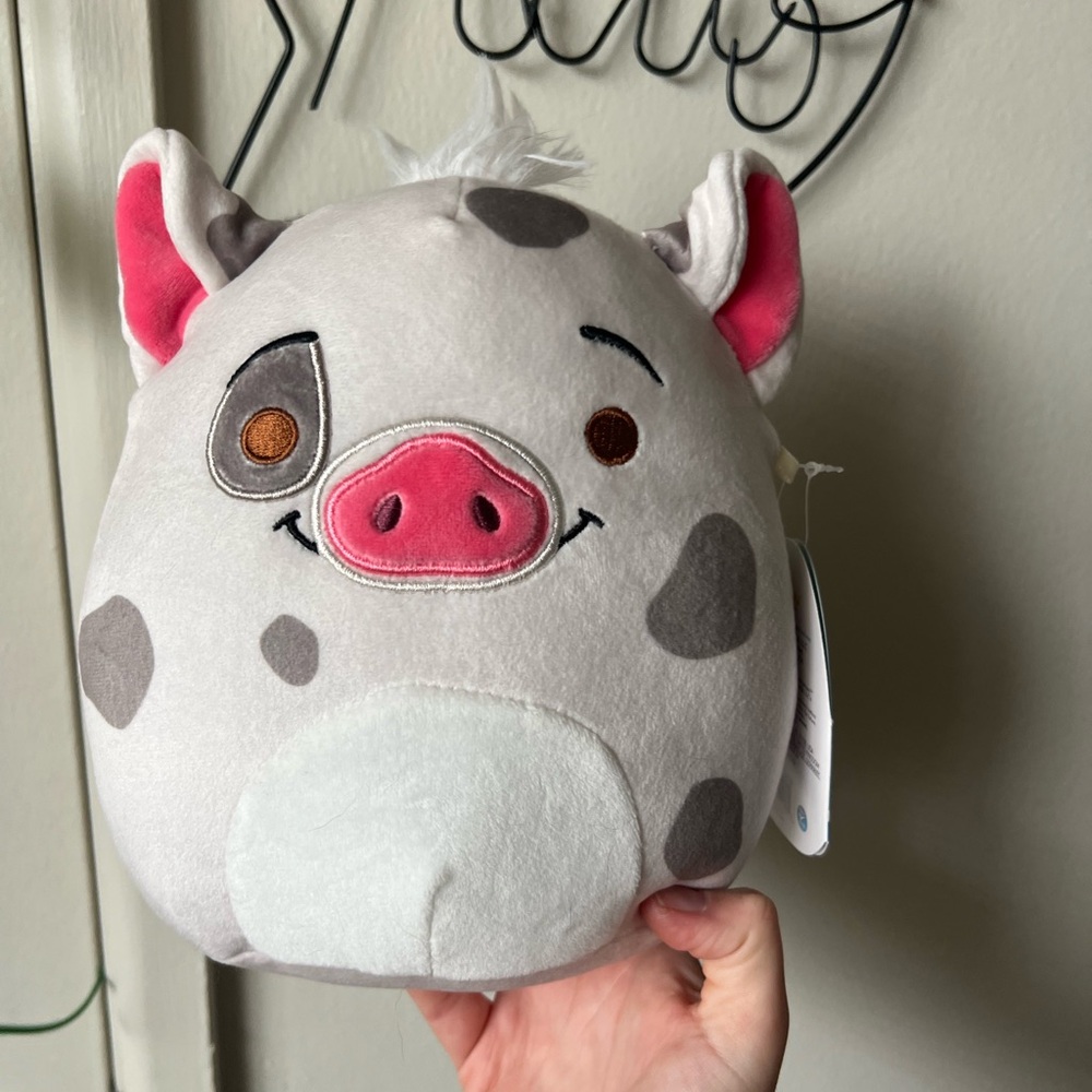 Pua and Hei Hei Moana Squishmallows - Picture 2 of 8
